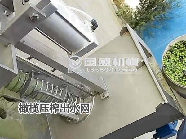 草莓SOLO视频下载橄榄脱水机
